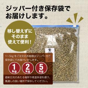 DRIP TRIP 生豆 モカ シダモG-4 ...の詳細画像4