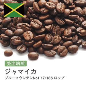 コーヒー 生豆 ホンジュラス エル・プラン パライネマ ナチュラル #351