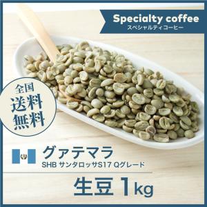 生豆 コーヒー 1kg モカ ゲイシャ G-3 ナチュラル エチオピア