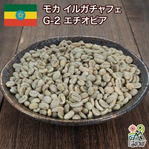 コーヒー 豆 粉 モカ イルガチャフェ G-2...の詳細画像1