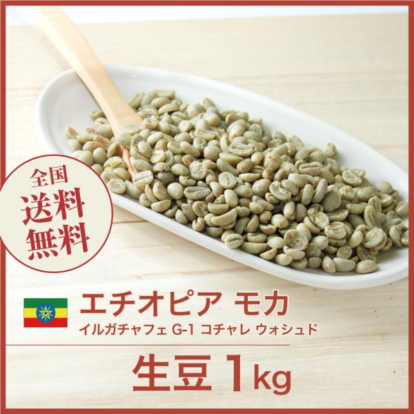 生豆 コーヒー 1kg モカ イルガチャフェ G1 コチャレ ウォシュド エチオピア 送料無料 大山...