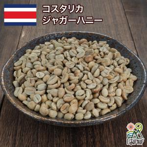 コーヒー 生豆 コスタリカFSHB タラス ジャガーハニー #041 DripTrip 1kg 2kg 5kg