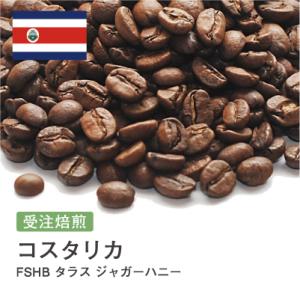 コーヒー豆 受注焙煎！400g コスタリカ FSHB タラス ジャガーハニー [選べる焙煎度合い] コーヒー豆 送料無料 大山珈琲