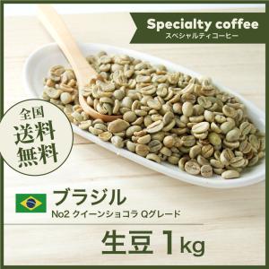 コーヒー 生豆 インドネシア ロブスタ AP-1 #258 DripTrip 1kg 2kg 5kg