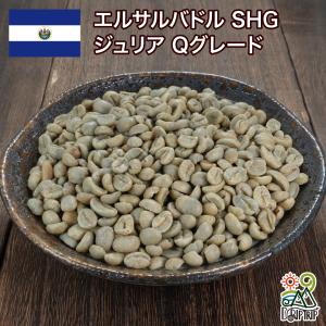 DRIP TRIP 生豆 タンザニア AA スノートップ コーヒー 珈琲 1kg 2kg