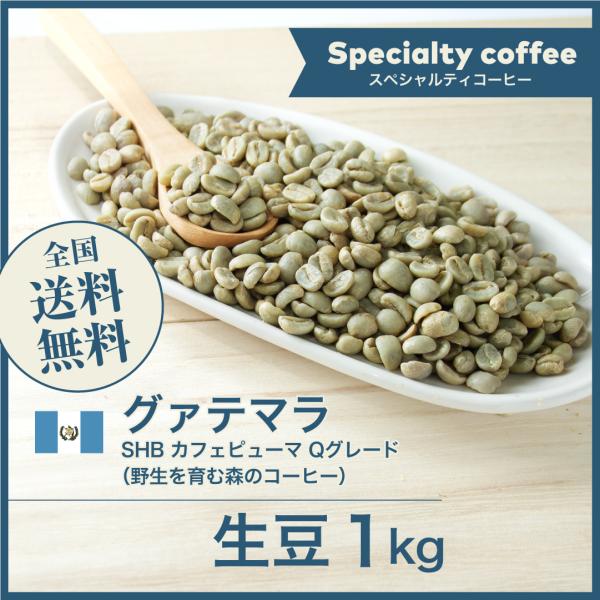 生豆 コーヒー 1kg グァテマラSHB カフェピューマ Qグレード（野生を育む森のコーヒー） 送料...