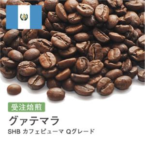 コーヒー 豆 粉 ブルンジ FW レッドブルボン Qグレード #026 DripTrip
