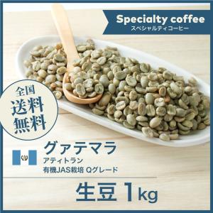 生豆 コーヒー 1kg グァテマラ アティトラン 有機JAS栽培 Qグレード 送料無料 大山珈琲 グアテマラ ガテマラ