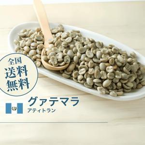 生豆 コーヒー 1kg コロンビア スプレモ ポイント利用 : 自家焙煎