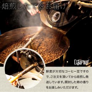 コーヒー豆 グァテマラ アティトラン 珈琲 粉...の詳細画像1