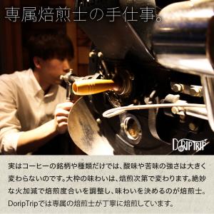コーヒー豆 グァテマラ アティトラン 珈琲 粉...の詳細画像4