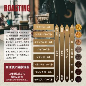 コーヒー豆 グァテマラ アティトラン 珈琲 粉...の詳細画像5