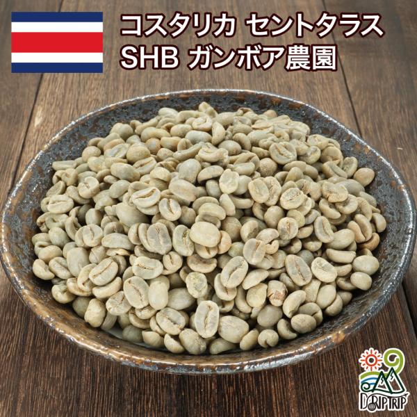 コーヒー 生豆 コスタリカ セントタラス SHB ガンボア農園 #071 DripTrip 1kg ...