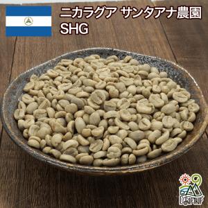 コーヒー 生豆 ホンジュラス エル・プラン パライネマ ナチュラル #351
