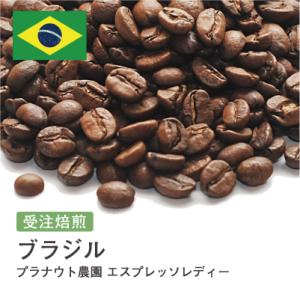 コーヒー豆 受注焙煎！400g ブラジル プラナウト農園 エスプレッソレディー [選べる焙煎度合い] コーヒー豆 送料無料 大山珈琲