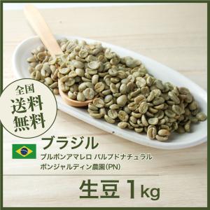 生豆 コーヒー 1kg ブラジル ブルボンアマレロ パルプドナチュラル ボンジャルディン農園（PN） 送料無料 大山珈琲