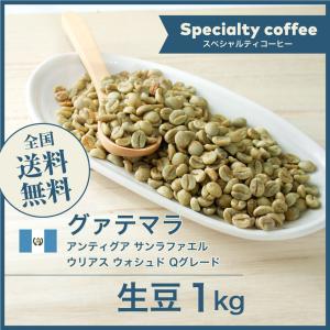 コーヒー生豆 1kg エチオピア ゲイシャ ジャスミンG1