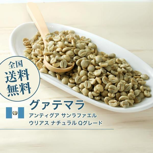 グァテマラ アンティグア サンラファエル ウリアス ナチュラル Qグレード 生豆 コーヒー 1kg ...