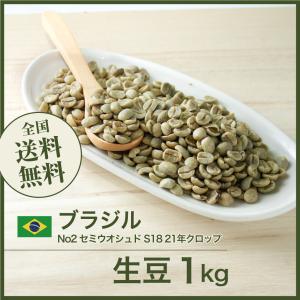 コーヒー 生豆 ブラジル サントス No2 17/18 #299 DripTrip 1kg 2kg