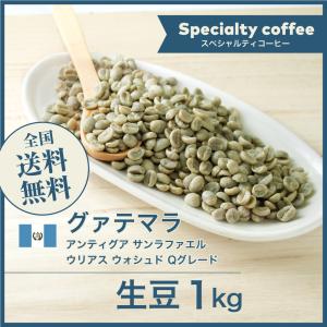 コーヒー 生豆 グァテマラ アンティグア サンラファエル ウリアス ウォシュド Qグレード #100 DripTrip 1kg 2kg 5kg