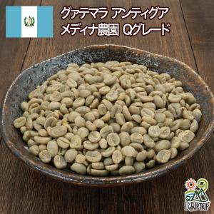 【コーヒー生豆】グアテマラ SHB 10kg ※送料無料！ 送料無料】 コーヒー生豆 グァテマラ SHB 10kg【生豆】 | 生豆