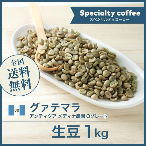 コーヒー 生豆 グァテマラ アンティグア メディナ農園 Qグレード #105 DripTrip 1k...