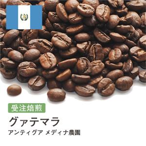 DRIP TRIP モカ！400g モカ マタリ No9 イエメン コーヒー豆 粉 受注焙