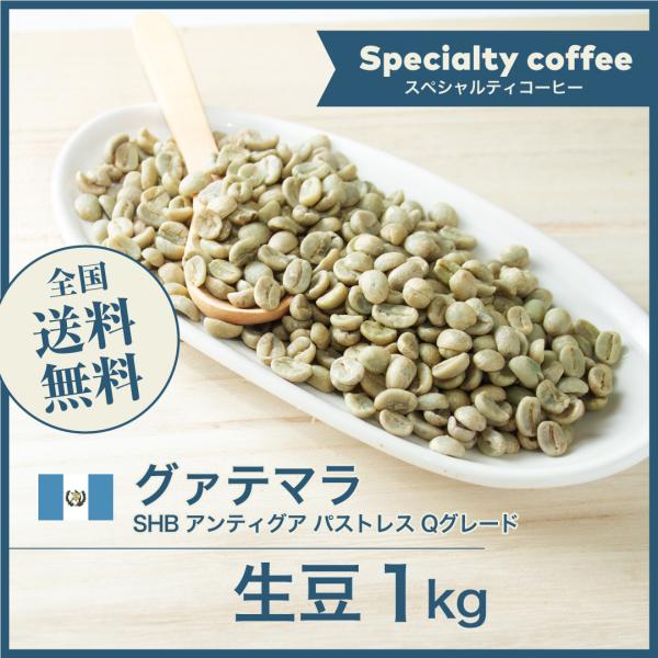 生豆 コーヒー 1kg グァテマラ SHB アンティグア パストレス Qグレード [ニュークロップ]...