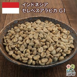 コーヒー 生豆 カフェインレスコロンビア スプレモ（スイス式水抽出法