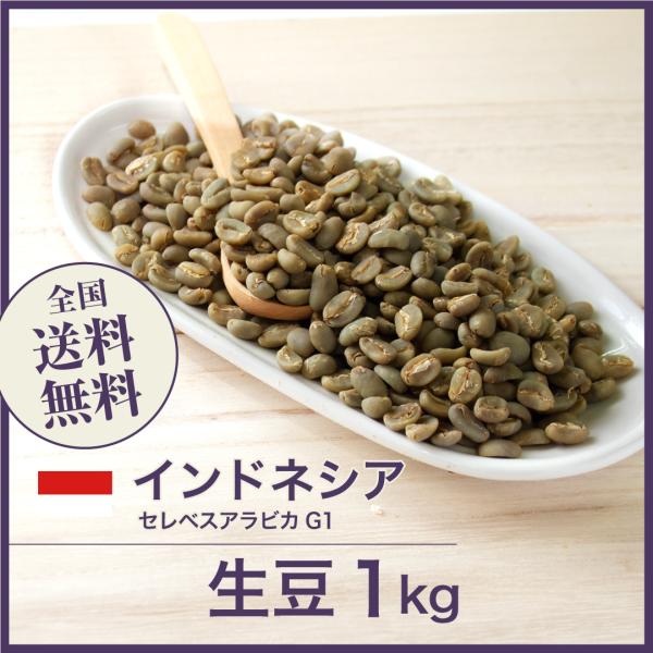 生豆 コーヒー 1kg インドネシア セレベスアラビカ G1 ポイント利用