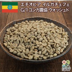 エチオピア　イルガチェフェコーヒー 生豆 5kg コーヒー 生豆 エチオピア イルガチャフィー ブナブナG1 (ナチュラル