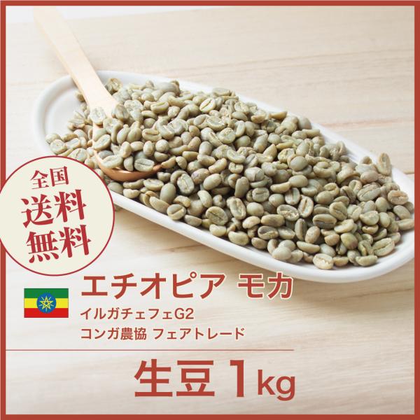 生豆 コーヒー 1kg エチオピア イルガチェフェG2 コンガ農協 フェアトレード 送料無料 大山珈...