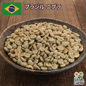 【コーヒー生豆】タンザニア AA 5kg　キリマンジャロ　 ※送料無料 生豆 コーヒー タンザニアAA キリマンジャロ 珈琲 スペシャルティ 送料