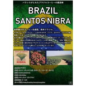 コーヒー豆 2kg 受注焙煎！ ブラジル サントス ニブラ 2022年クロップ [選べる焙煎度合い] コーヒー豆 送料無料 大山珈琲  業務用 自家焙煎 卸｜自家焙煎コーヒー豆と石窯パン専門店ガウディ