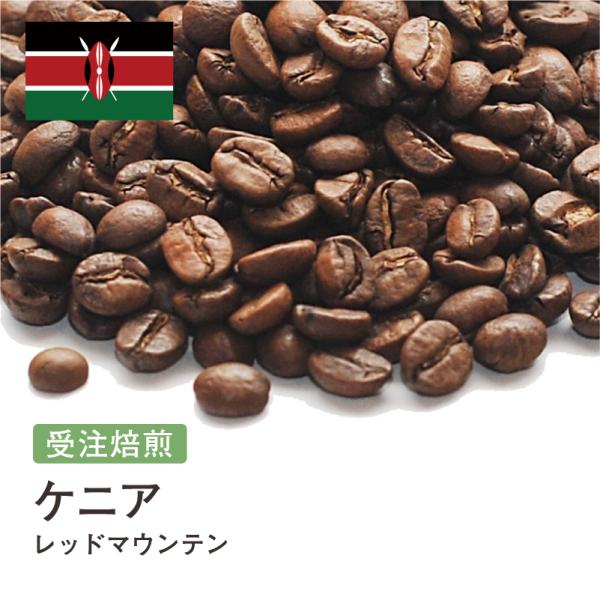 コーヒー豆 受注焙煎！400g ケニア AA TOP レッドマウンテン 2022年クロップ [選べる...