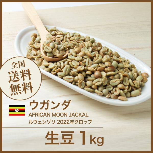 生豆 コーヒー 1kg ウガンダ AFRICAN MOON JACKAL ルウェンゾリ 2022年ク...