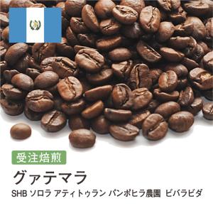 コーヒー 豆 粉 スペシャルティコーヒー ケニア AA #013 DripTrip 珈琲