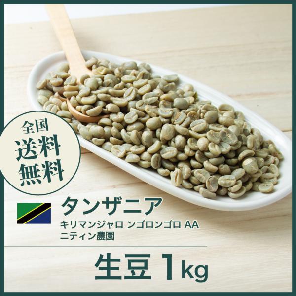 生豆 コーヒー 1kg キリマンジャロ ンゴロンゴロ AA 送料無料 大山珈琲