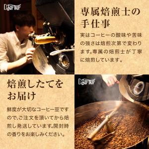 コーヒー 豆 粉 キリマンジャロ ンゴロンゴロ...の詳細画像4