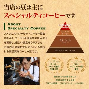コーヒー 豆 粉 キリマンジャロ ンゴロンゴロ...の詳細画像2