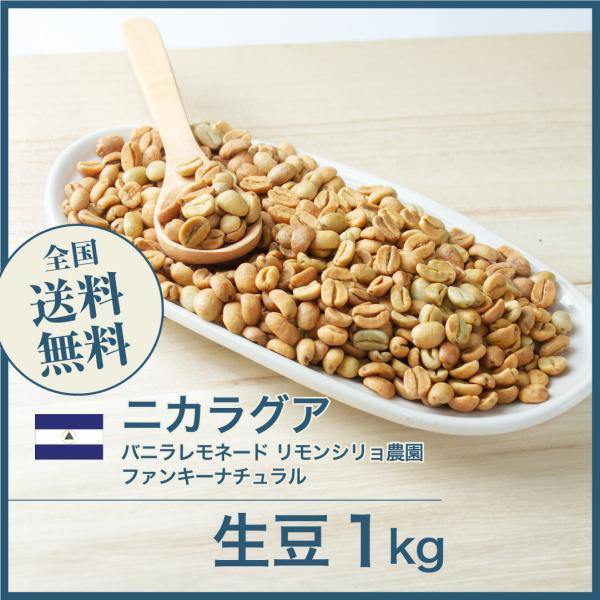 生豆 コーヒー 1kg ニカラグア バニラレモネード リモンシリョ農園 ファンキーナチュラル 202...