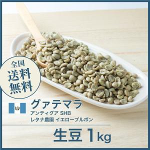 DRIP TRIP 生豆 マンデリン G-1 アチェ Wハンドピック アットソース