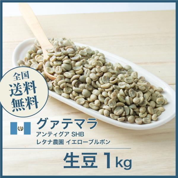 生豆 コーヒー 1kg グアテマラ SHB アンティグア レタナ農園 イエローブルボン ポイント利用