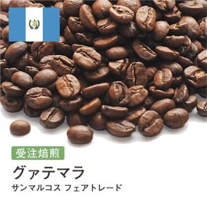 コーヒー 豆 粉 グアテマラ サンマルコス フェアトレード 有機栽培 オーガニック #168 DripTrip 珈琲