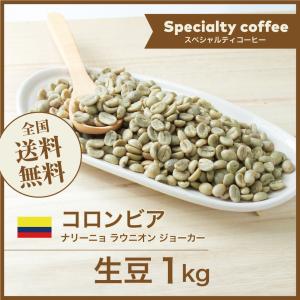 コーヒー 生豆 モカ シダモG-4 エチオピア #012 DripTrip 1kg 2kg 5kg