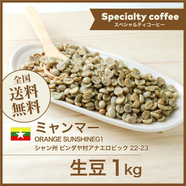 生豆 コーヒー 1kg ミャンマー ORANGE SUNSHINEG1 シャン州 ピンダヤ村アナエロ...