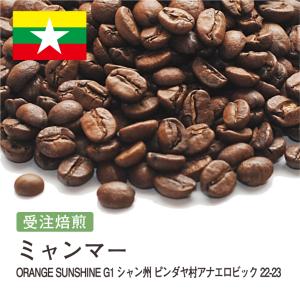 コーヒー豆 受注焙煎！400g ミャンマー ORANGE SUNSHINEG1 シャン州 ピンダヤ村アナエロビック 22-23 [選べる焙煎度合い] コーヒー豆 送料無料 大山珈琲｜自家焙煎コーヒー豆と石窯パン専門店ガウディ