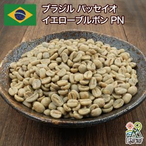 コーヒー 生豆 ベトナム アラビカ グリーンダラット #172 DripTrip 1kg