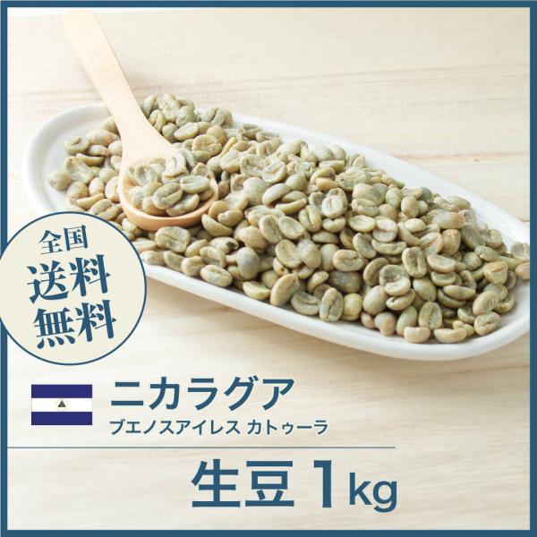 生豆 コーヒー 1kg ニカラグア ブエノスアイレス カトゥーラ 送料無料 大山珈琲