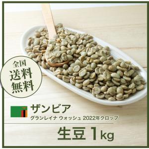 コーヒー 生豆 ザンビア グランレイナ ウォッシュ #192 DripTrip 1kg 2kg 5kg